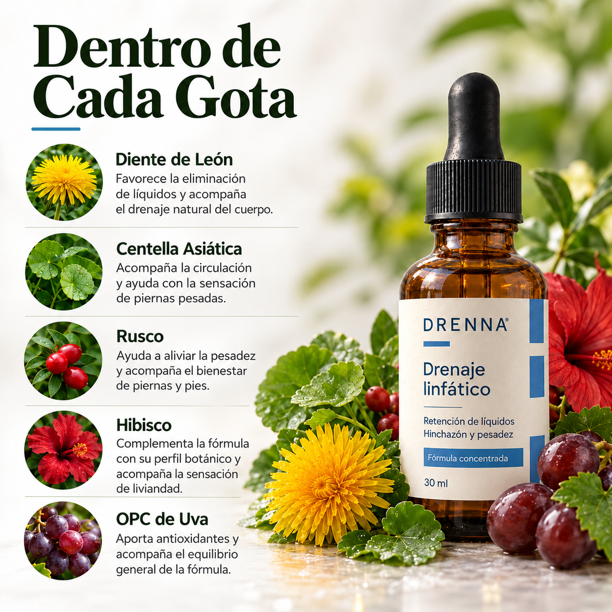 DRENNA | DRENAJE LINFÁTICO.